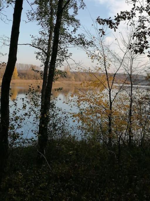 Swietna Chatka Swietne Exterior foto